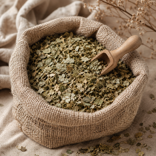 Abedul Hoja Cortada