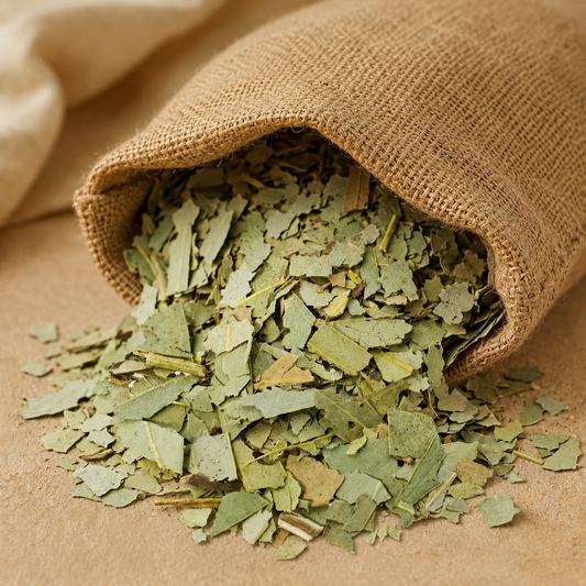 Eucalipto Hoja Cortada