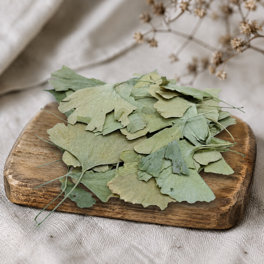 Ginko Biloba