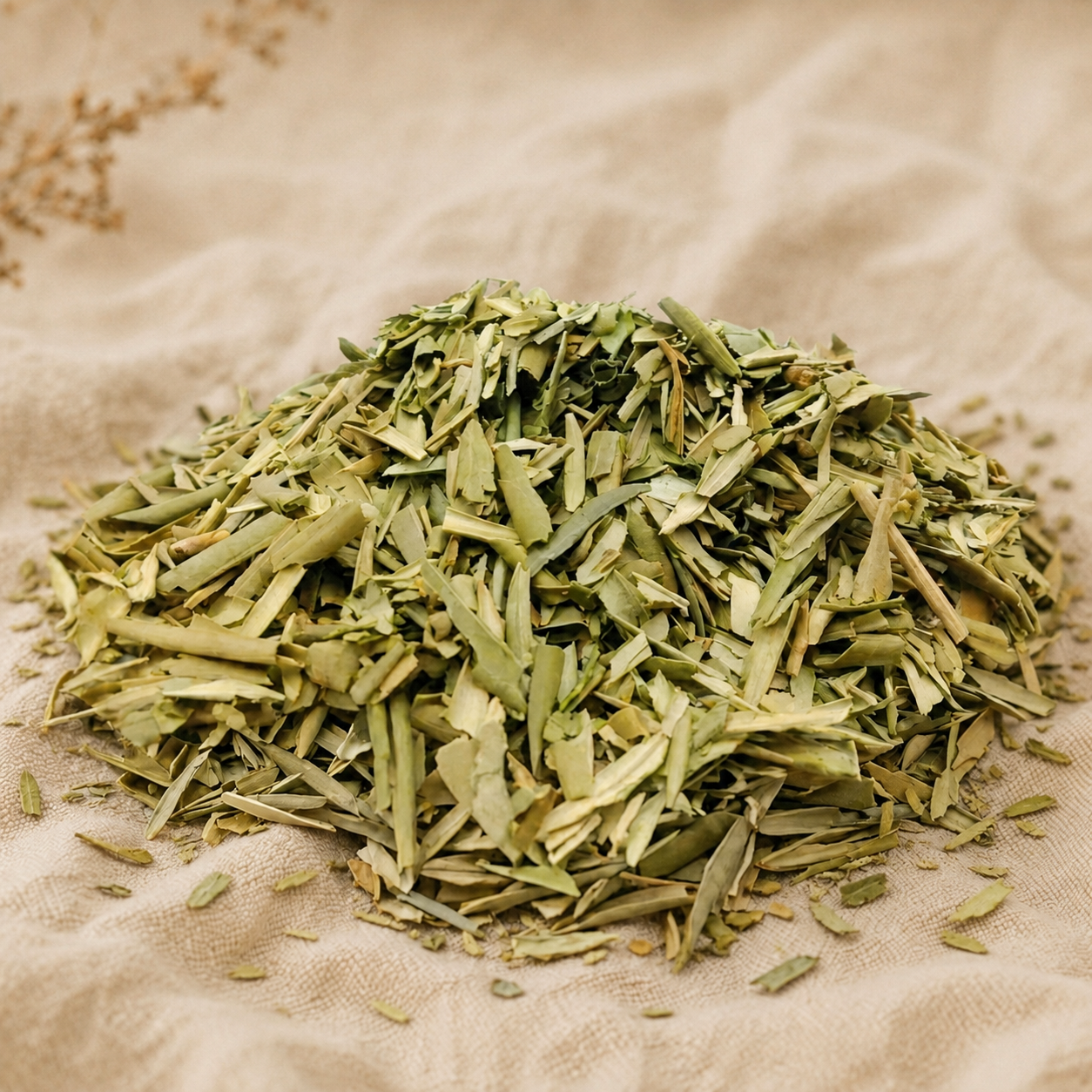 Hoja de Olivo Cortada